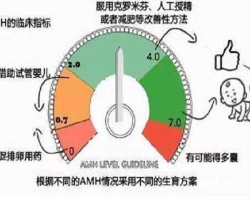 试管助孕成功率揭秘:详解高龄女性与冻胚移植