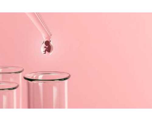 第三代供卵试管婴儿的成功秘诀与费用解析