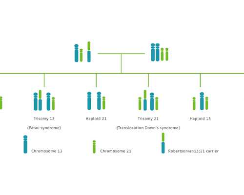 南京鼓楼医院三代试管婴儿成功率揭秘，“生男生女”超声早知道